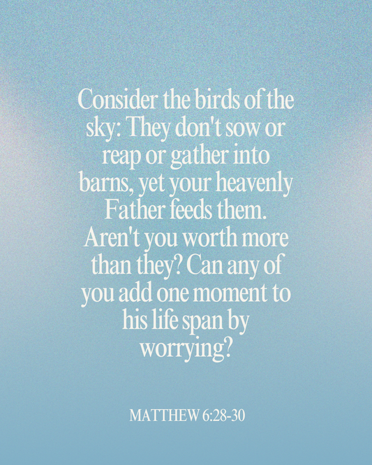 Matthew 6:28-30 Bible Verse Image. Parables.