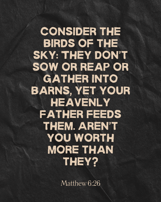 Matthew 6:26 Bible Verse Image. Parables. 