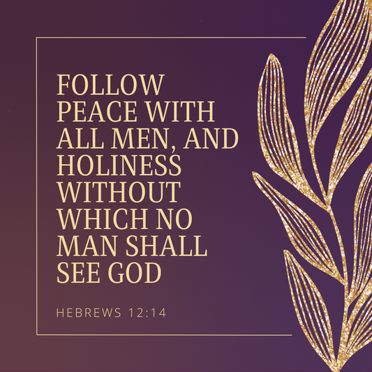 Hebrews 12:14 Bible Verse Image