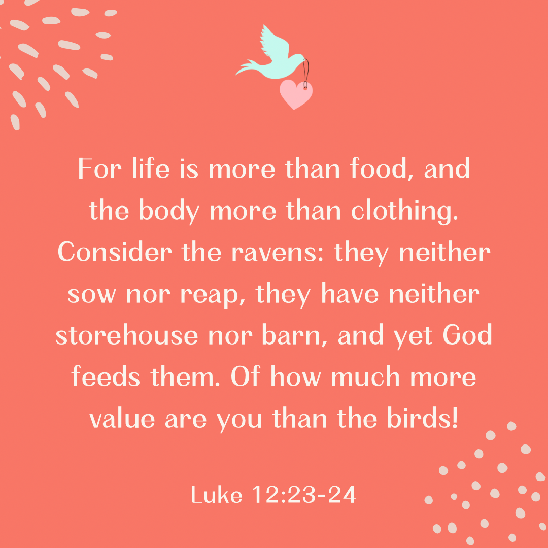 Luke 12:23-24 Bible Verse image. Parable of the ravens bible verse image. 