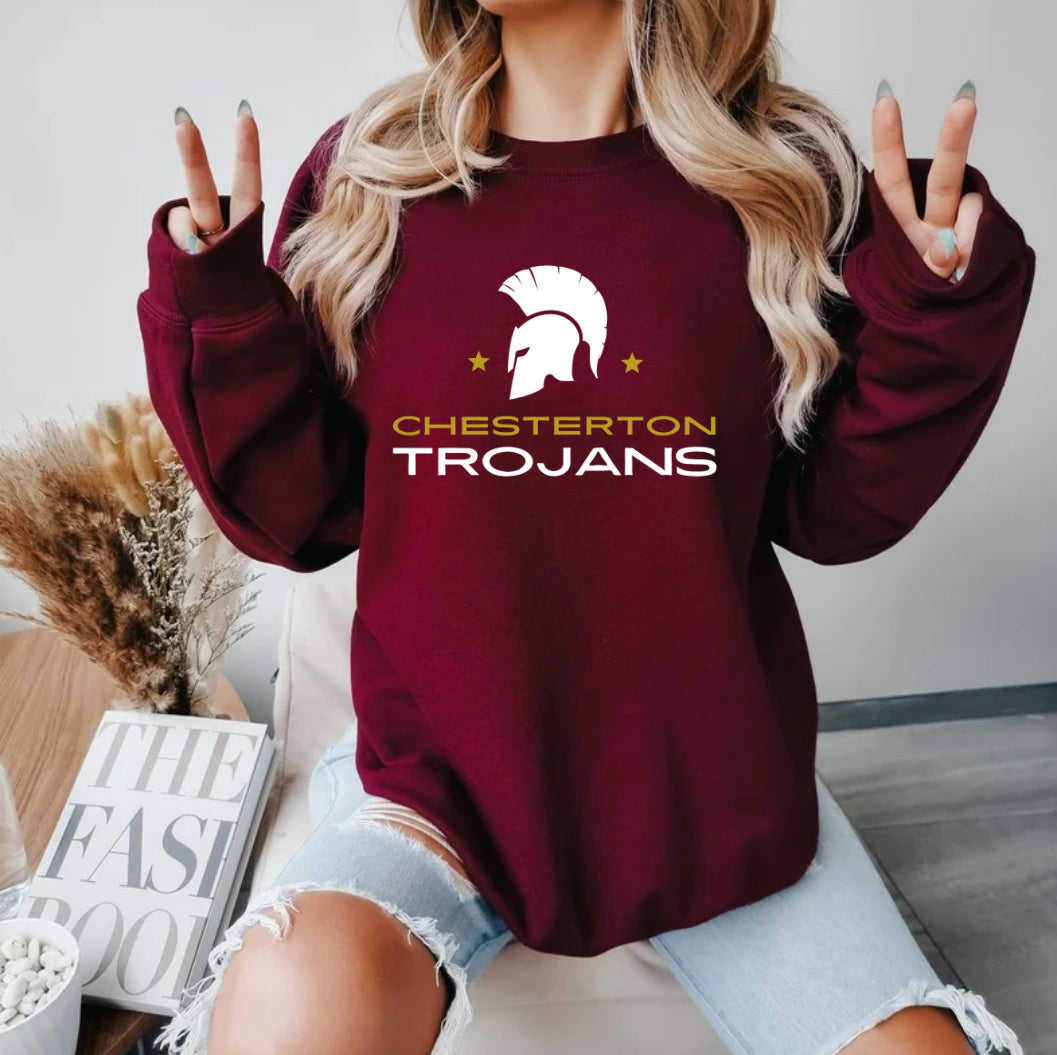 Trojan's Hoodie - Kingdom Threads by Amy